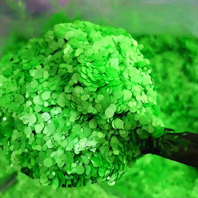 Oportunidad de Ramadán 1 kilos de embalaje en masa Puntos Brillantes Polvo para Brillos Puntos Brillantes Mezclas de color neón Paquete de bolsas